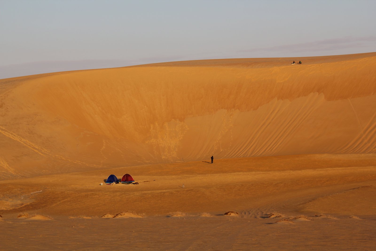 Dunes of the Great Sand Sea at dusk