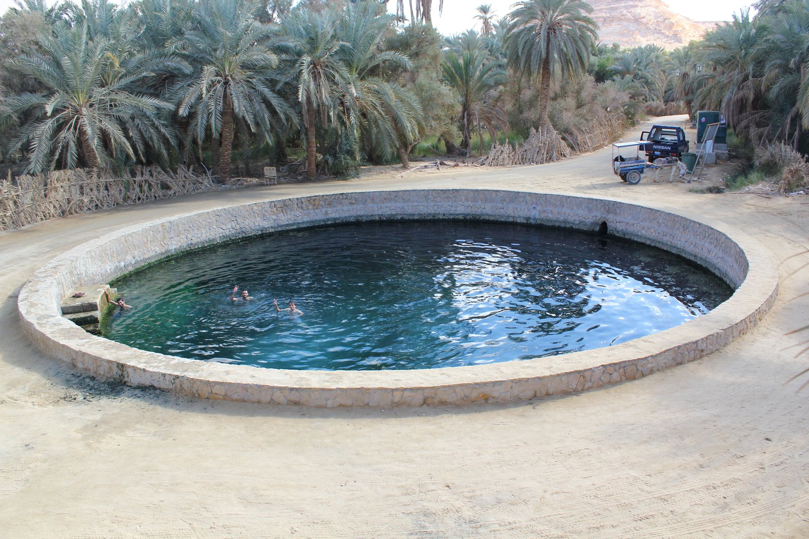 Still spring water with palm reflection